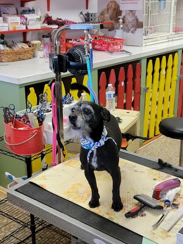 Dog Grooming Pet's plaza Grooming Fullerton