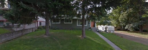 Dog Grooming Pin 'Em Up Pet Grooming Spokane Valley