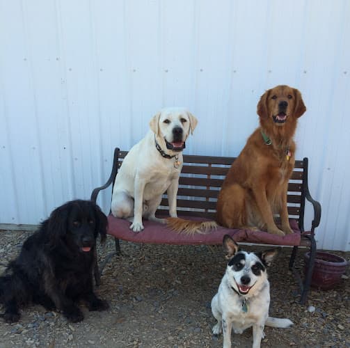 Dog Grooming Pomona Pet Services Yakima