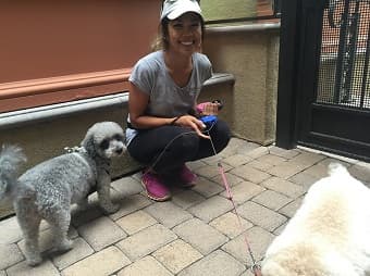 Dog Grooming Pooch's Best Friend Costa Mesa