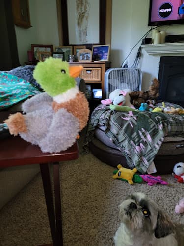 Dog Grooming Pride & Groom Gresham