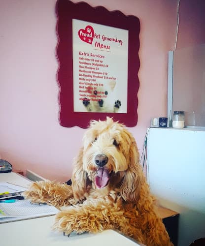 Dog Grooming Proud Pets Boutique and Grooming Burbank