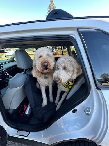 Dog Grooming Puppy Love Grooming-Supplies Bend