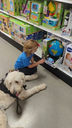 Dog Grooming San Diego Dog Training San Diego