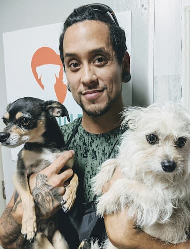 Dog Grooming San Diego Pet Mobile Grooming San Diego