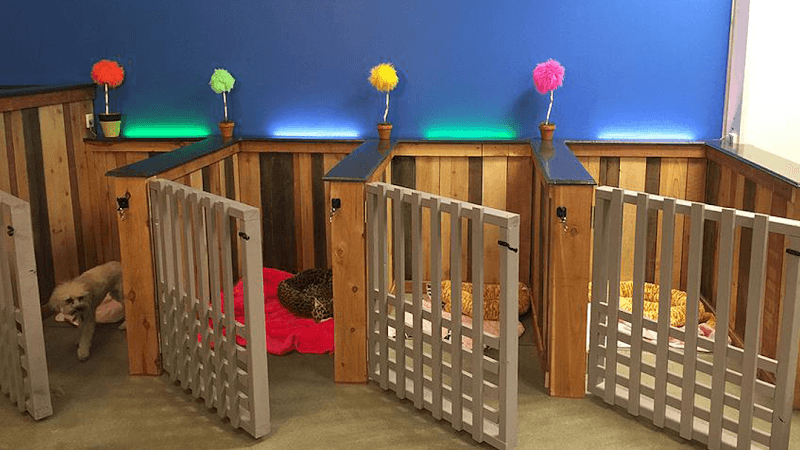 Dog Grooming Seusspup Pet Grooming Los Angeles