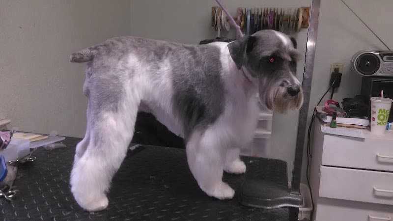 Dog Grooming Sheldon Road Groomers Elk Grove