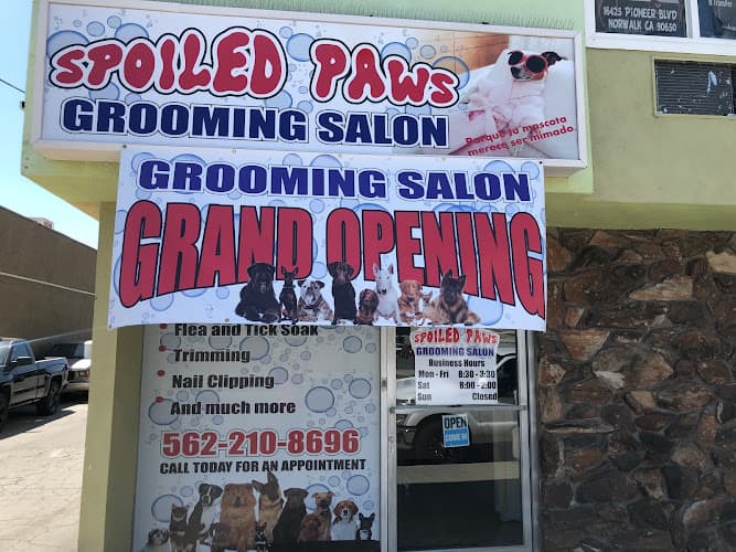 Dog Grooming Spoiled Paws Grooming Salon Norwalk