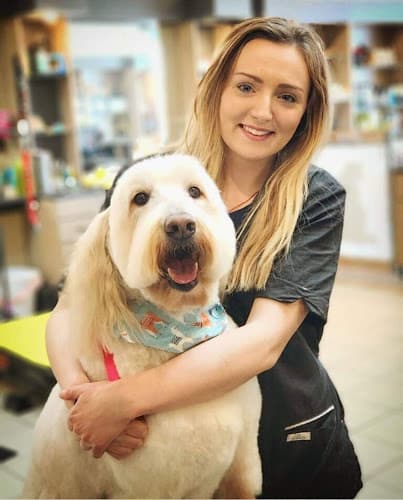 Dog Grooming Spotted Dog Pet Grooming Beaverton