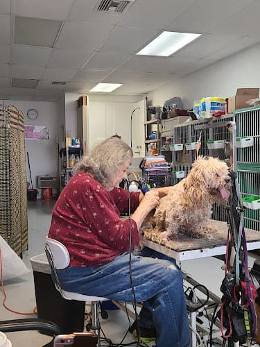 Dog Grooming Starbarks Groomers Carson