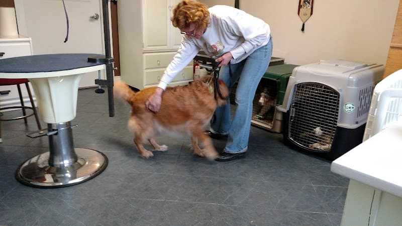 Dog Grooming Surf's PUP! Dog Grooming By-the-Sea Bend