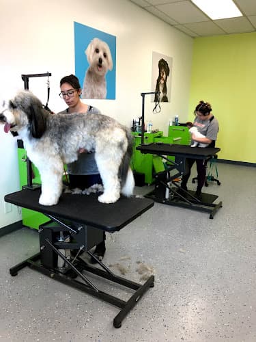 Dog Grooming Sydnee's Pet Grooming Carson