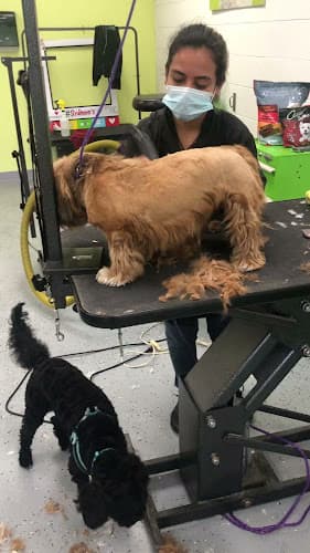 Dog Grooming Sydnee's Pet Grooming - Mission Viejo Mission Viejo