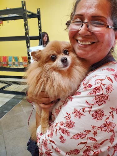 Dog Grooming Temple of Groom Jurupa Valley