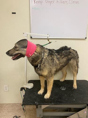 Dog Grooming The Laundered Mutt Grooming & Training Center Temecula
