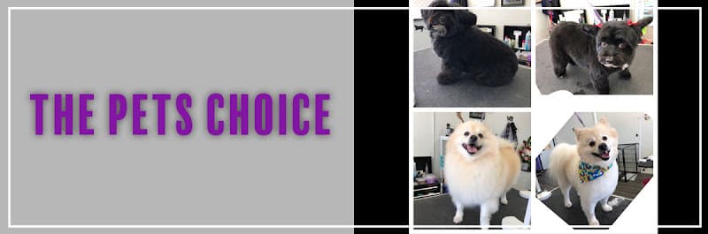 Dog Grooming The Pets Choice Carson