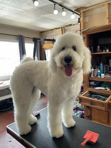 Dog Grooming Three Rivers Grooming Bend