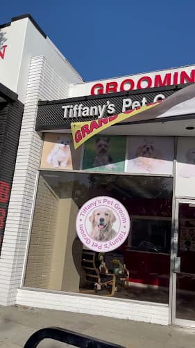 Dog Grooming Tiffany's Pet Groom Pasadena