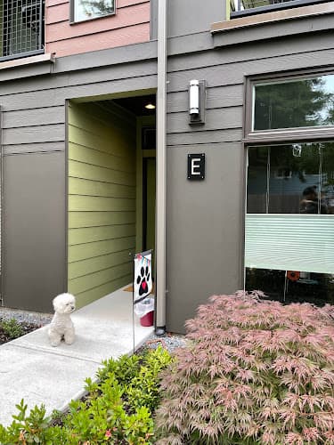 Dog Grooming Tiny Groom Room Seattle