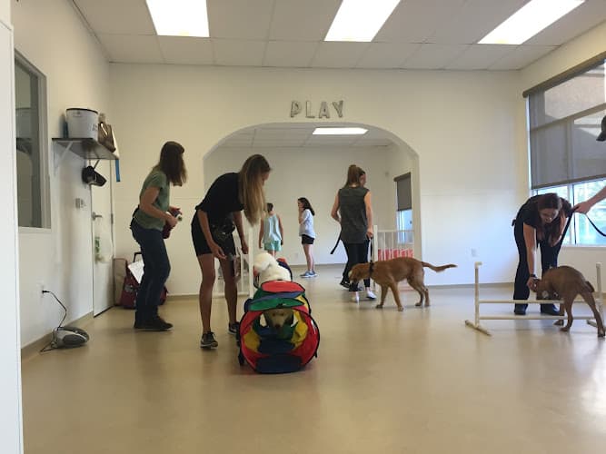 Dog Grooming TRIM Dog Grooming & Food Santa Clara