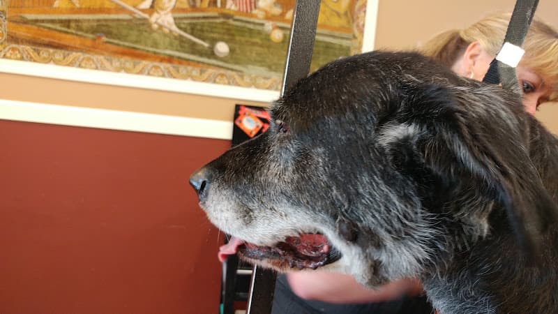 Dog Grooming U-Wash Pets & Grooming Bend