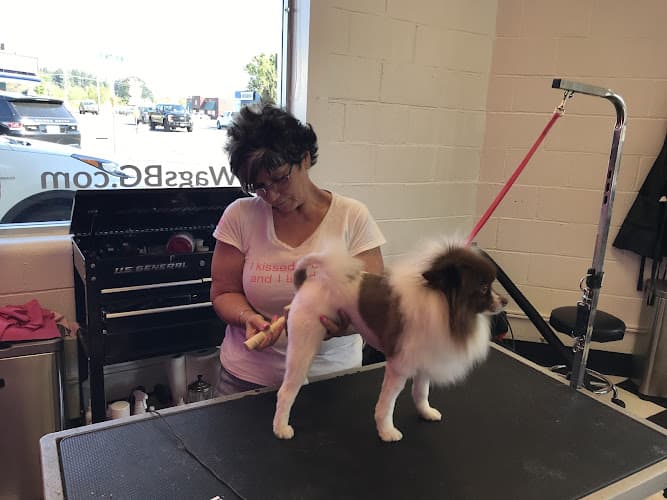 Dog Grooming Wags N' Whiskers Pet Boutique Pet Grooming Vancouver