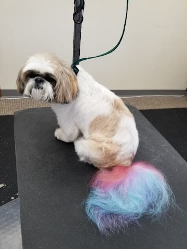 Dog Grooming Westcreek Grooming salon Yakima