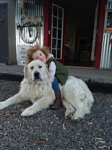 Dog Grooming Wilco Farm Store Bend