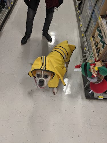 Dog Grooming Wilco Farm Store Eugene