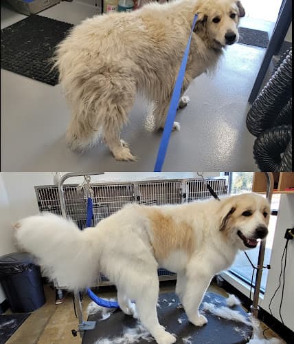 Dog Grooming Wilco Farm Store Santa Rosa
