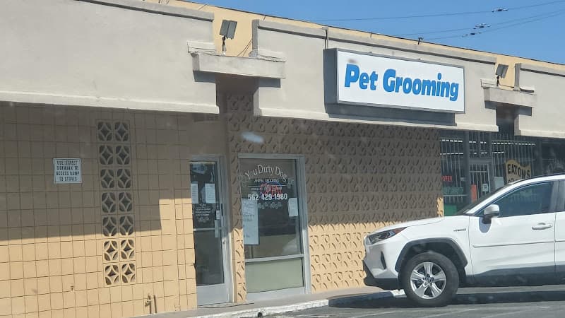 Dog Grooming You Dirty Dog Pet Grooming Long Beach