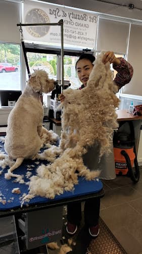 Dog Grooming Young Style Pet Beauty and Spa Renton