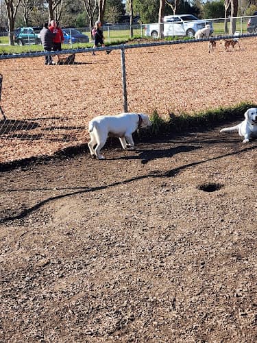 Dog Park A Place to Play Santa Rosa