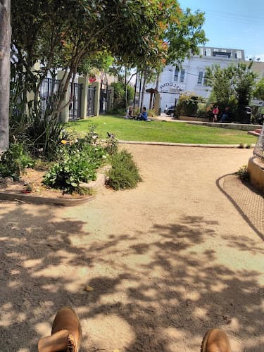 Dog Park Alioto Mini Park San Francisco