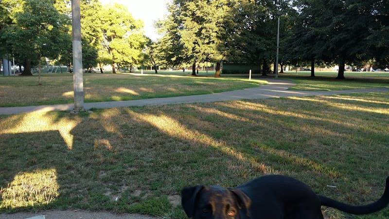 Dog Park Arbor Lodge Park Gresham