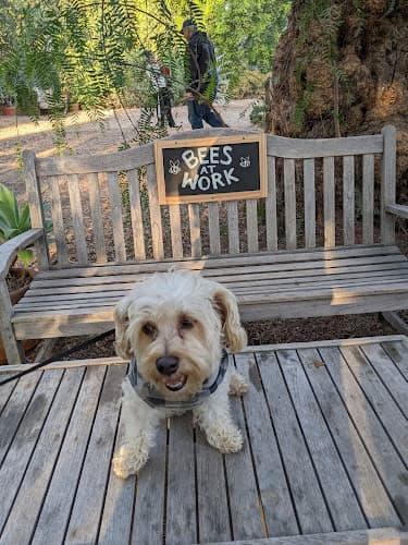 Dog Park Arlington Garden in Pasadena Pasadena