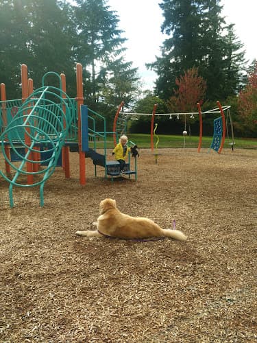 Dog Park Arnold Park Hillsboro