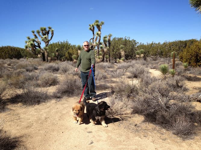 Dog Park Arthur B. Ripley Desert Woodland State Park Lancaster