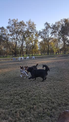Dog Park Auburn Ravine Dog Park Roseville