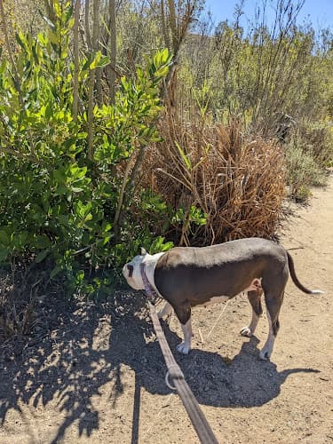 Dog Park Ballona Discovery Park Inglewood