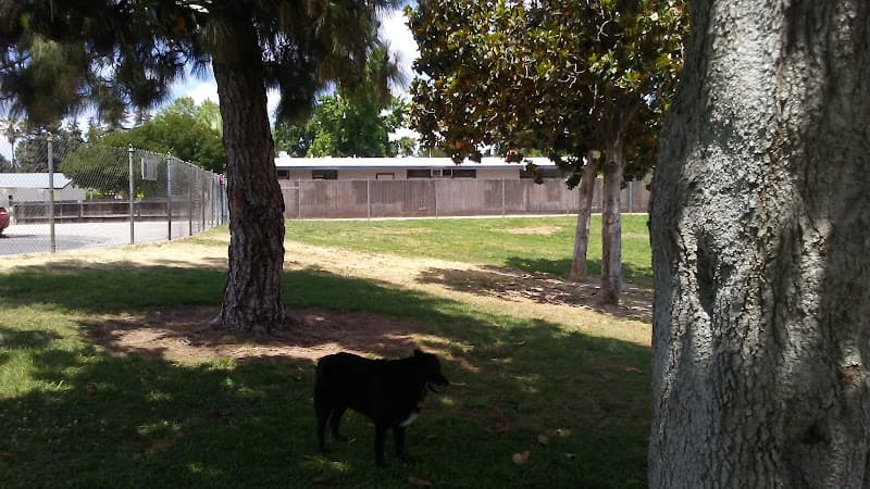 Dog Park Basin F. Park Fresno