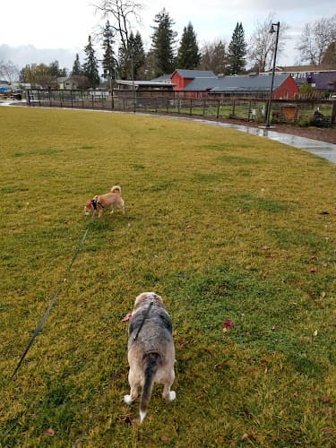 Dog Park Bayer Park & Gardens Santa Rosa