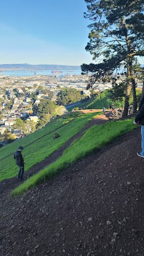 Dog Park Bernal Heights San Francisco