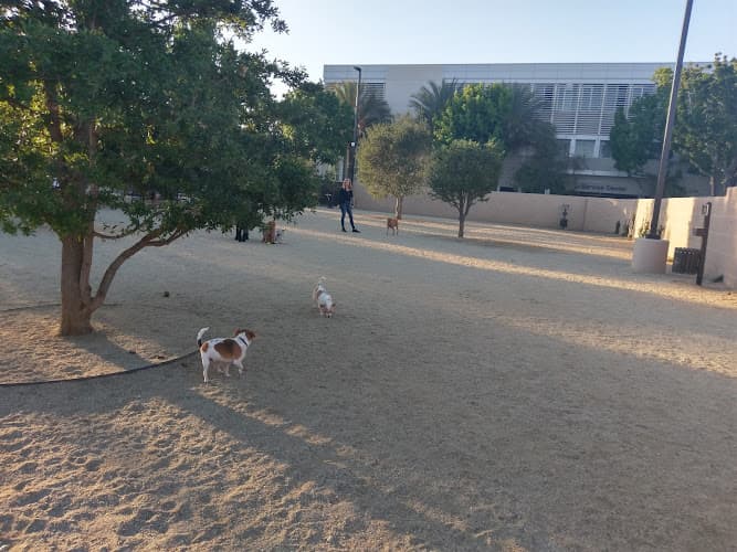 Dog Park Beverly Hills Dog Park Santa Monica
