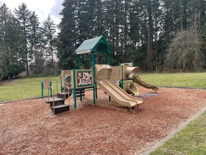 Dog Park Big Finn Hill Park Kirkland