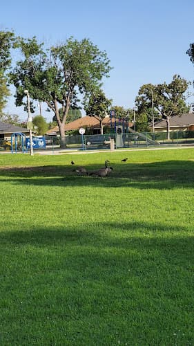 Dog Park Bixby Knolls Park Carson