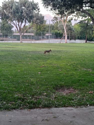 Dog Park Brenner Park Pasadena