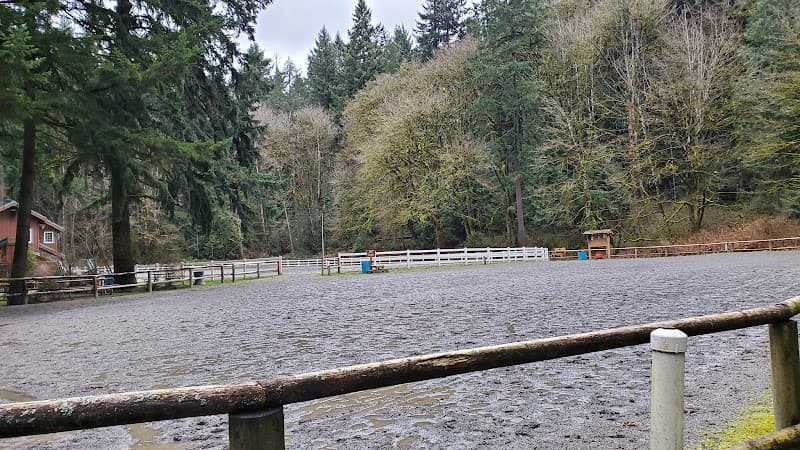 Dog Park Bridle Trails Parking Kirkland