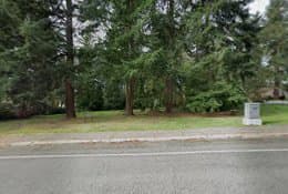 Dog Park Bud Homan Park Kirkland