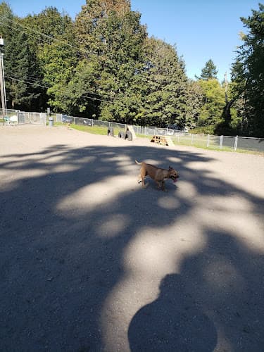 Dog Park Burien Off Leash Dog Park Renton